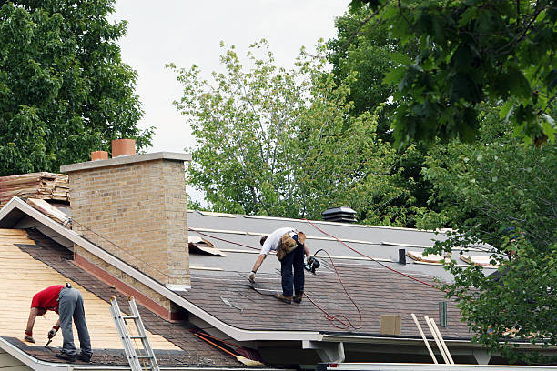 Best Roof Gutter Cleaning  in Lake Caroline, VA